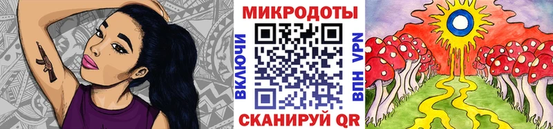 Купить где  Невельск  Галлюциногенные грибы MAGIC MUSHROOMS 